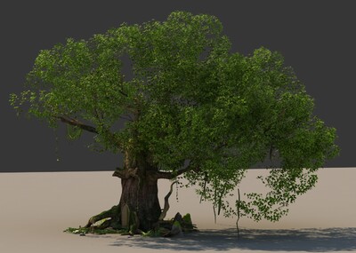 大树 树模型-树木模型库-3ds Max(.max)模型下载-cg模型网