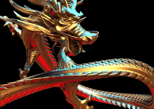 动物-马桶盖的收藏夹