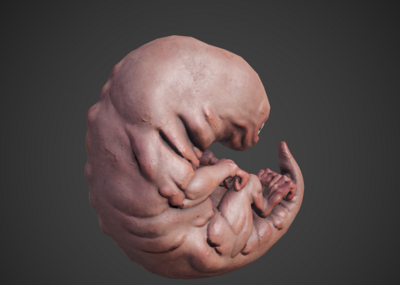 pbr 异形胚胎 异形 外星生物 外星人婴幼儿 婴儿 幼儿 胚体 胎儿