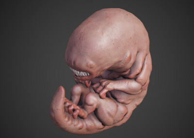 pbr 异形胚胎 异形 外星生物 外星人婴幼儿 婴儿 幼儿 胚体 胎儿