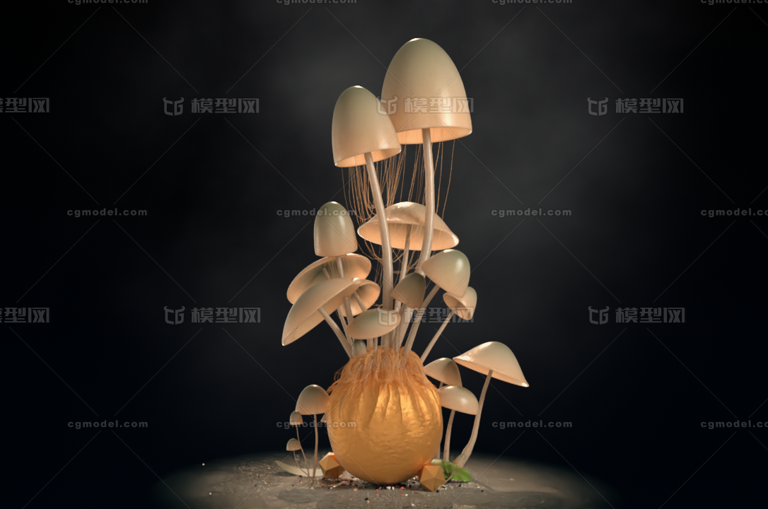 蘑菇 生长动画模型-真菌模型库-Cinema 4D(.c4d)模型下载-cg模型网