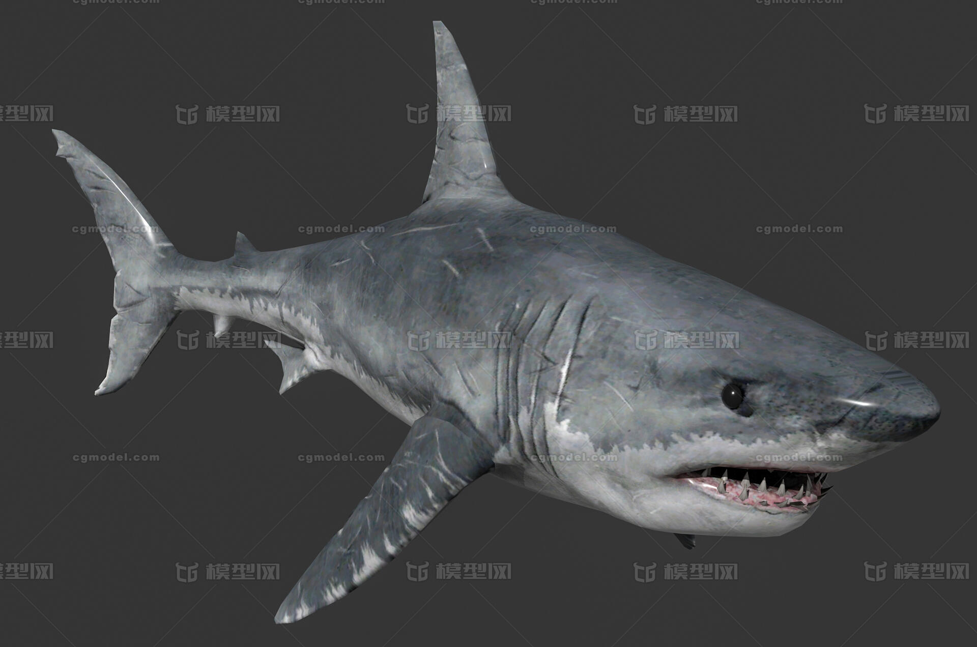 鲨鱼辣椒壁纸图片