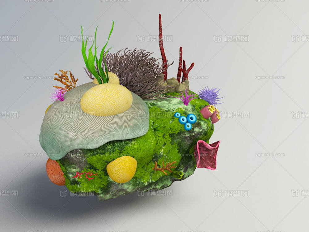 礁石海洋生物动物植物珊瑚红色珊瑚黄色珊瑚珊瑚虫珊瑚丛条状珊瑚柱状珊瑚角珊瑚 珊 Cg模型网 Cgmodel 三维设计师交流互动平台 专注多品类3d模型下载 原创作品分享 软件学习