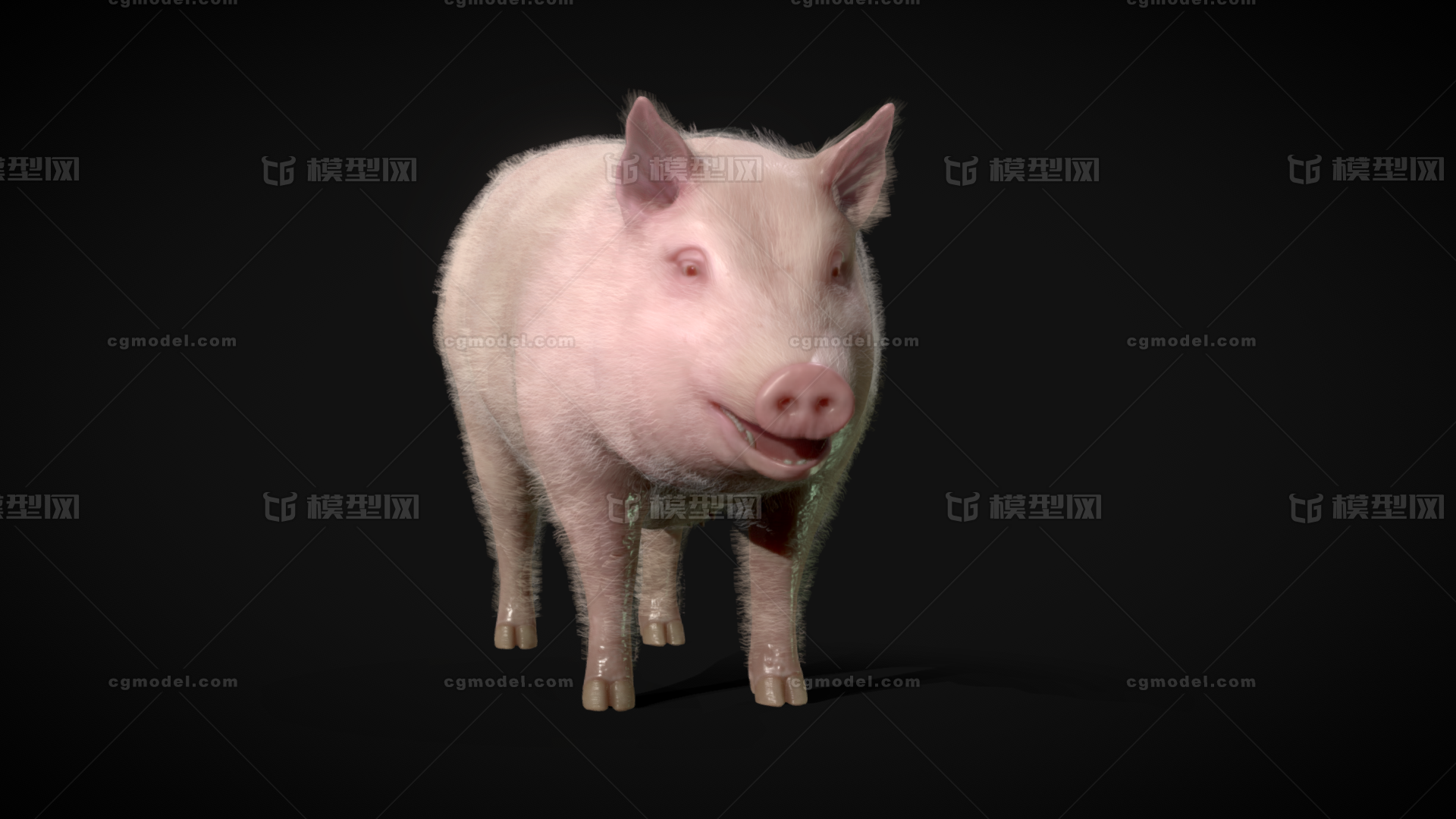 家畜 猪模型-哺乳模型库-3ds Max(.max)模型下载-cg模型网