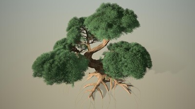 中式松树造型松模型-树木模型库-其他模型下载-cg模型网