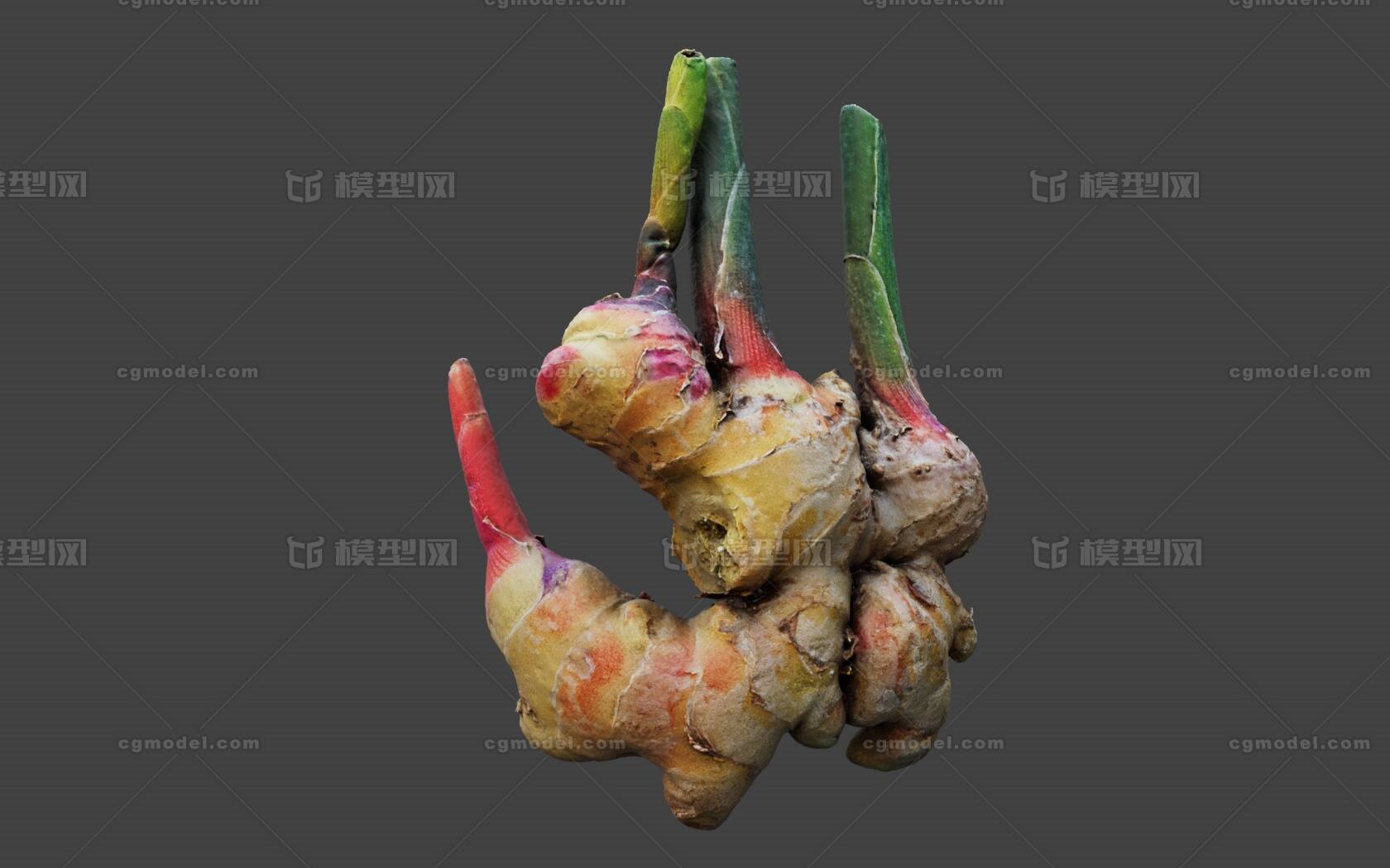 带跟姜 生姜 老姜官方提示:1,如该资源发布者无特别说明,模型结构