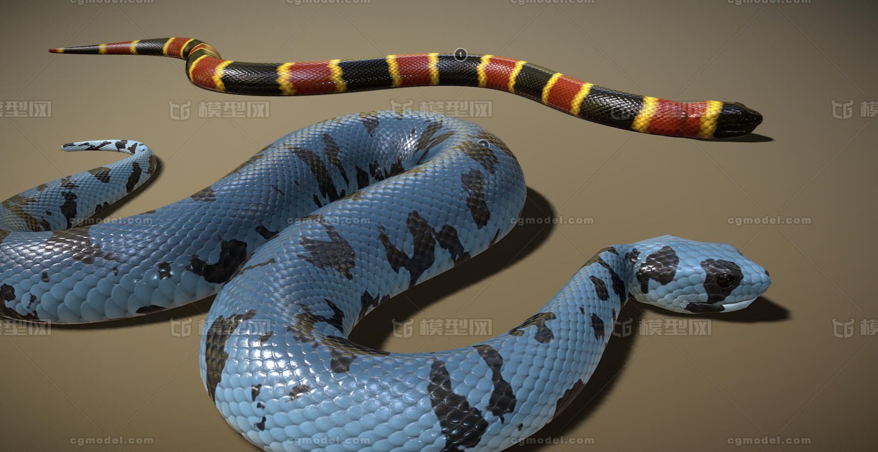 蛇 毒蛇 眼镜蛇 怪物蛇 蝮蛇 小龙 虵 爬行动物 蛇母 蛇 类 冷血动物 Cg模型网 Cgmodel 三维设计师交流互动平台 专注多品类3d模型下载 原创作品分享 软件学习 蛇 毒蛇 眼镜蛇 怪物蛇 蝮蛇 小龙 虵 爬行动物 蛇母 蛇 类 冷血动物 Cg模型网 Cgmodel 三维设计师交流互动平台 专注多品类3d模型下载 原创作品分享 软件学习
