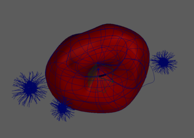 细胞 血红细胞模型-细胞模型库-maya(.ma/.mb)模型下载-cg模型网