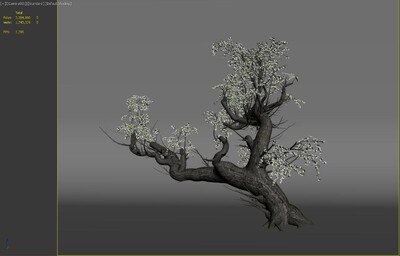 梨花树 古树模型-树木模型库-3ds Max(.max)模型下载-cg模型网