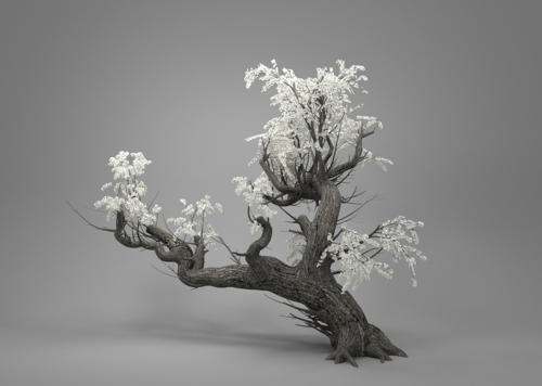 梨花树 古树模型-树木模型库-3ds Max(.max)模型下载-cg模型网