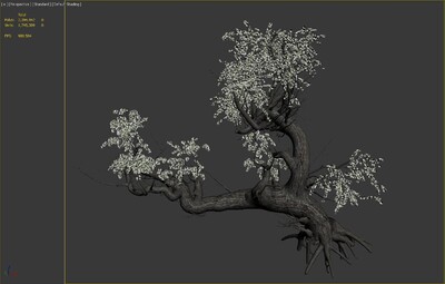 梨花树 古树模型-树木模型库-3ds Max(.max)模型下载-cg模型网