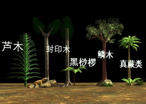 古植物 芦木模型-树木模型库-3ds Max(.max)模型下载-cg模型网