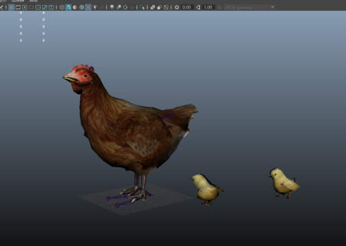 母鸡  带两个小鸡  有绑定 有走的动画模型maya(.ma/.