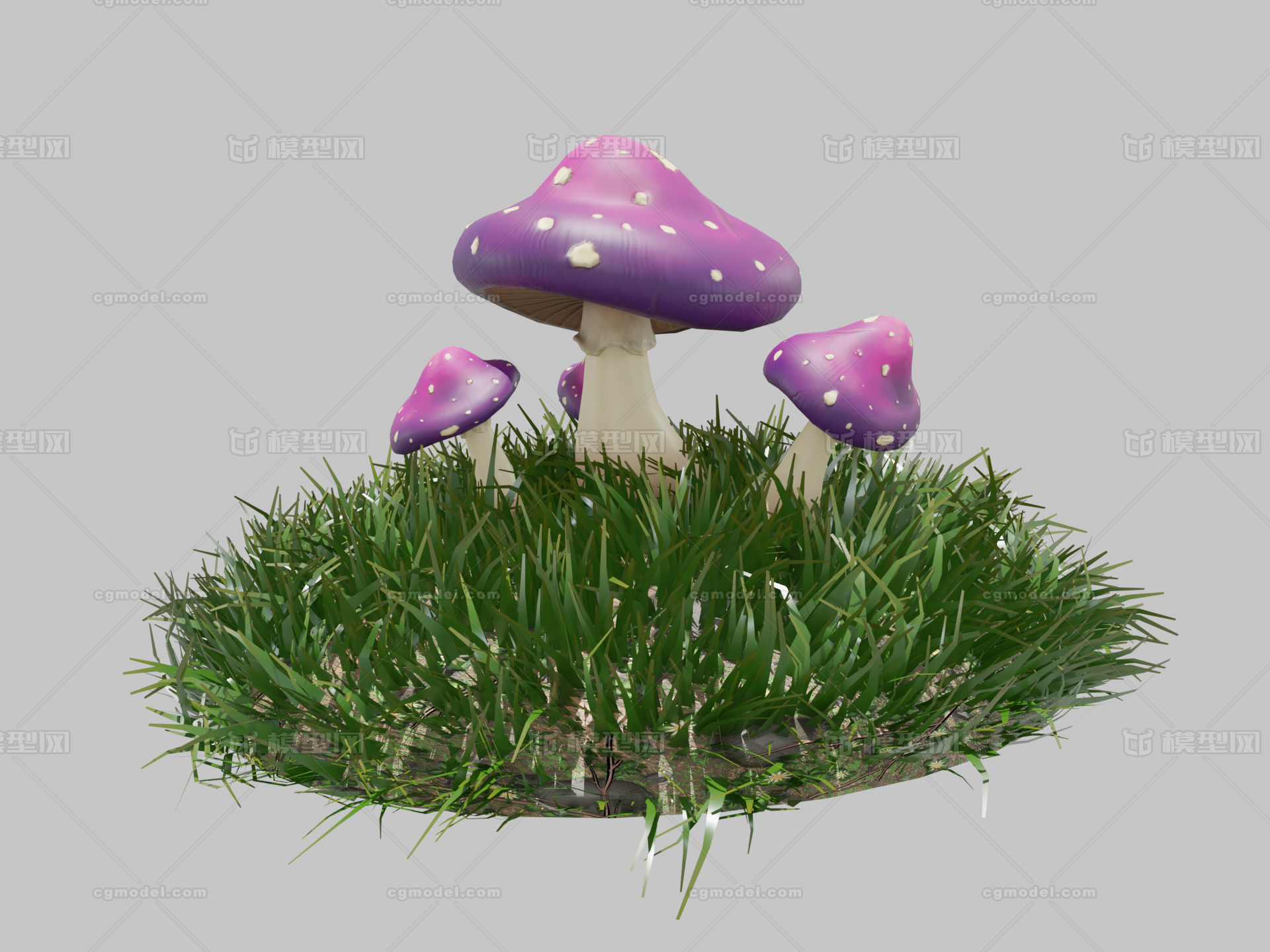 PBR次世代 蘑菇 灵芝 花菇 毒蘑菇_qq466432852作品_石头植物草类_cg模型网