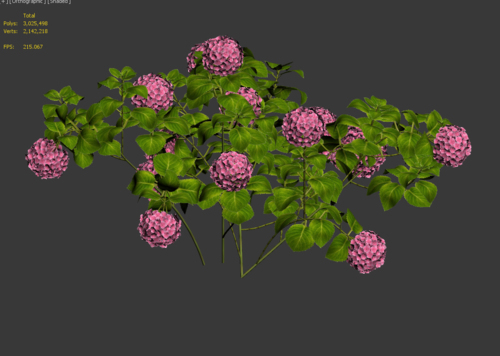 石头植物模型-3d模型库-cg模型网-第4页