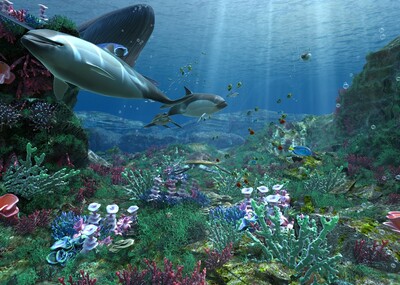 海底场景 珊瑚礁 鱼群 鲸鱼 海豚 海龟 海底动物 海底鱼群 大海海洋