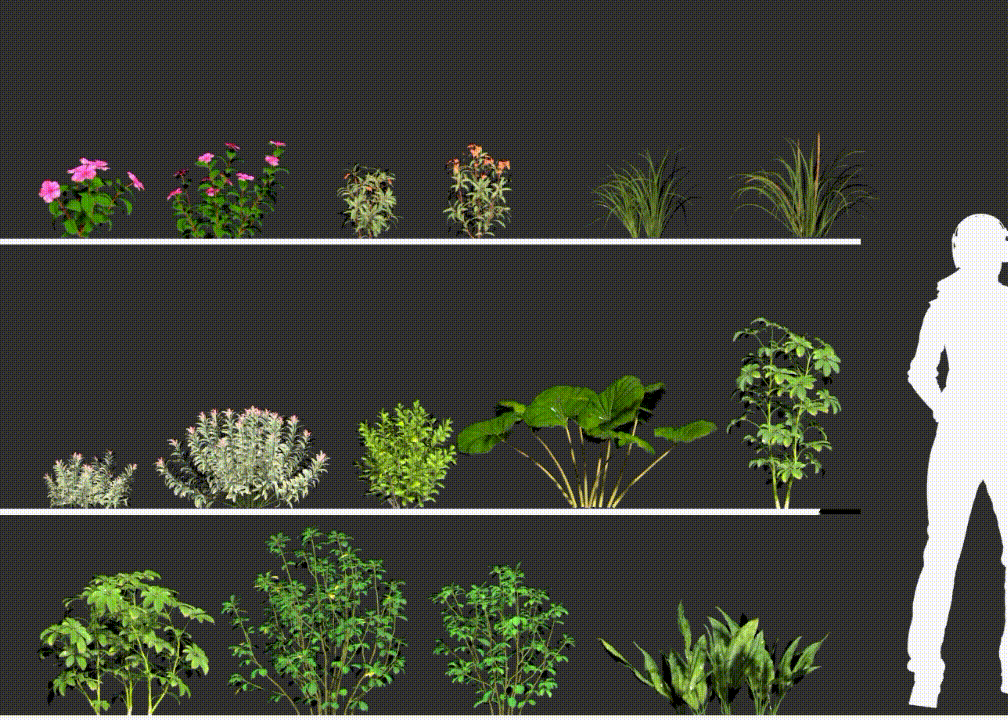 31种无缝动态植物 vr代理循环动画模型-树木模型库-3ds Max(.max)模型下载-cg模型网