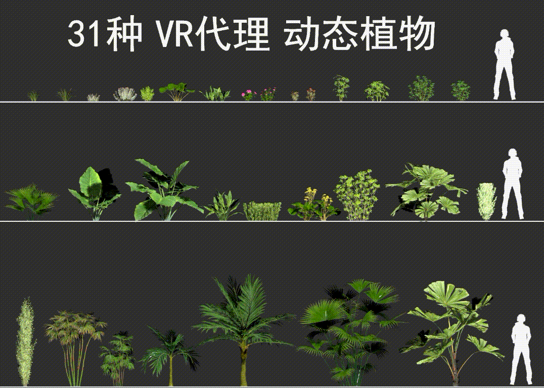 31种无缝动态植物 vr代理循环动画模型-树木模型库-3ds Max(.max)模型下载-cg模型网