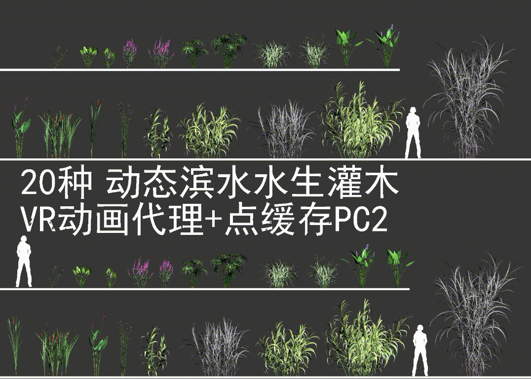 20种动态滨水水生灌木 动态植物模型-草类模型库-3ds Max(.max)模型下载-cg模型网