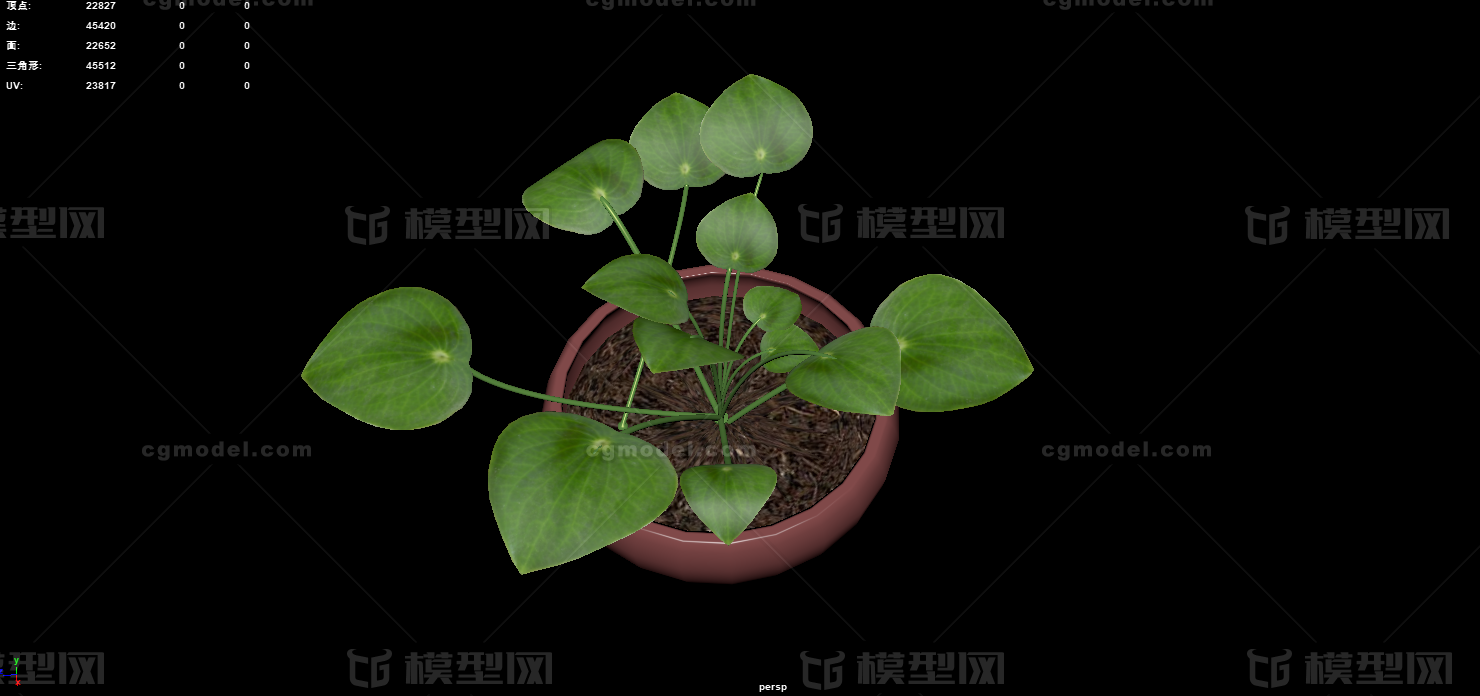 盆栽植物 室内花卉模型-花卉模型库-其他模型下载-cg模型网