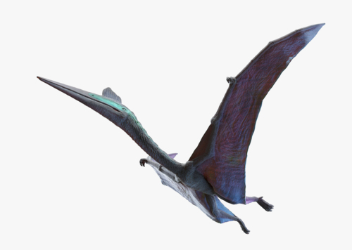 昆虫小子设计师主页 - 个人主页 - cg模型网