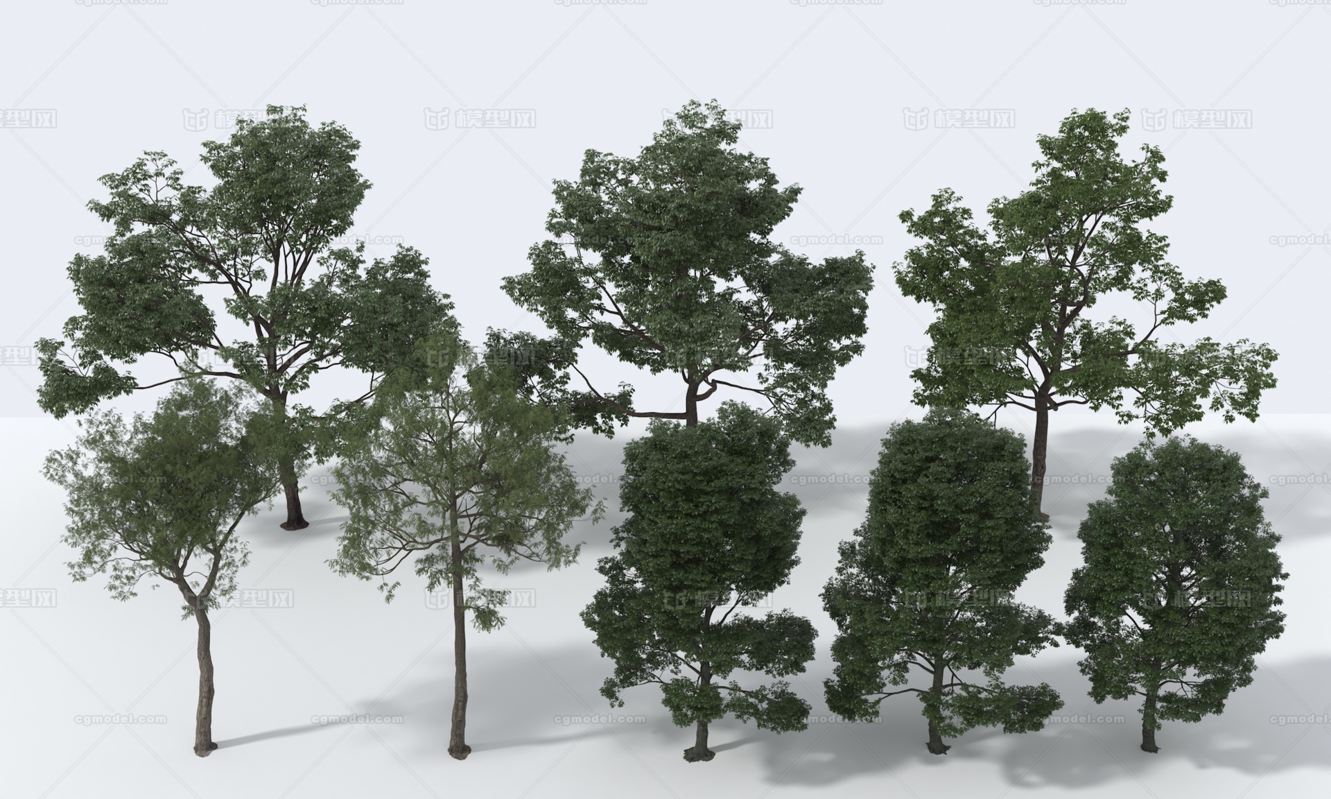 参天大树 大树模型-树木模型库-3ds Max(.max)模型下载-cg模型网