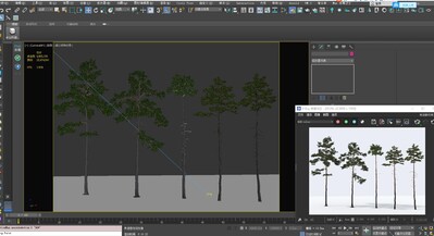 参天大树 大树模型-树木模型库-3ds Max(.max)模型下载-cg模型网