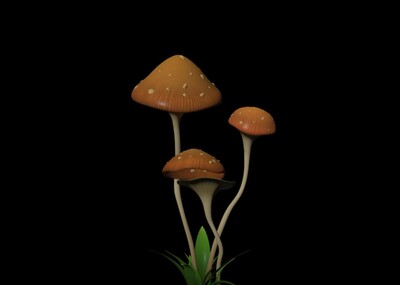 蘑菇 菌菇模型-水果蔬菜模型库-Maya(.ma/.mb)模型下载-cg模型网