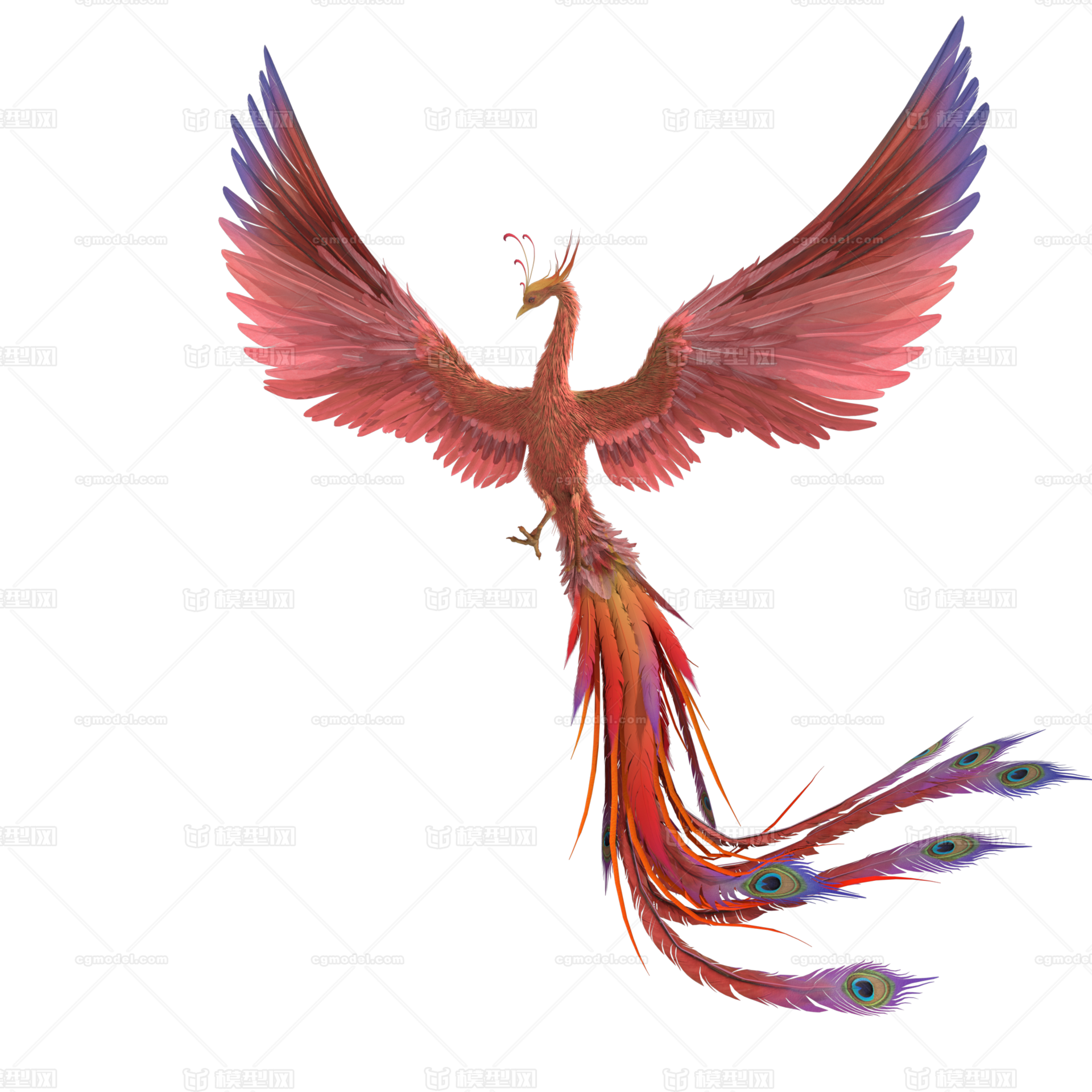 凤凰 火凤凰 鸟 有绑定 贴图 模型-神话类模型库-maya(.ma/.