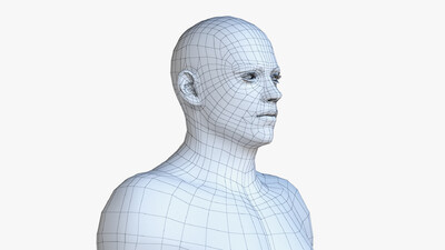 男性身体 骨骼和神经系统模型-男人模型库-3ds Max(.max)模型下载-cg模型网