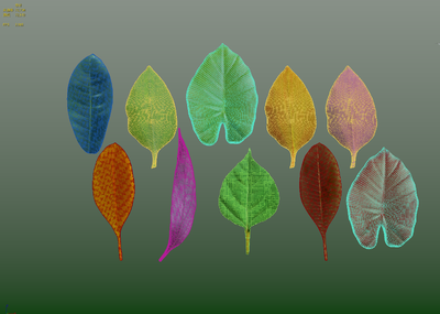 10款写实树叶CG资源下载 3D树叶模型-草类模型库-3ds Max(.max)模型下载-cg模型网