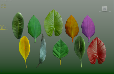 10款写实树叶CG资源下载 3D树叶模型-草类模型库-3ds Max(.max)模型下载-cg模型网