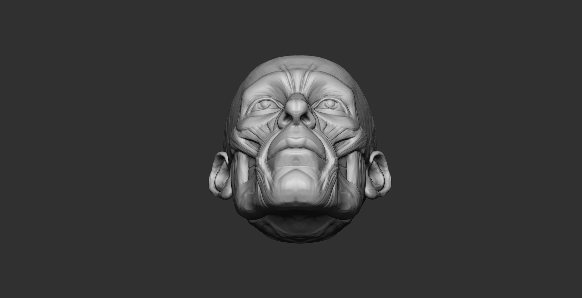 人头肌肉练习模型 - 角色/人物/生物 - 作品模型 - CG模型网