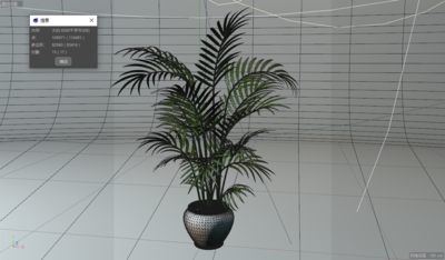 室内装饰盆栽：凤尾竹C4D模型模型-草类模型库-Cinema 4D(.c4d)模型下载-cg模型网