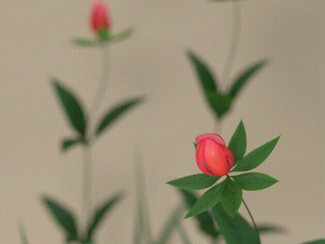 开花动画 花开放生长动画模型-花卉模型库-Cinema 4D(.c4d)模型下载-cg模型网