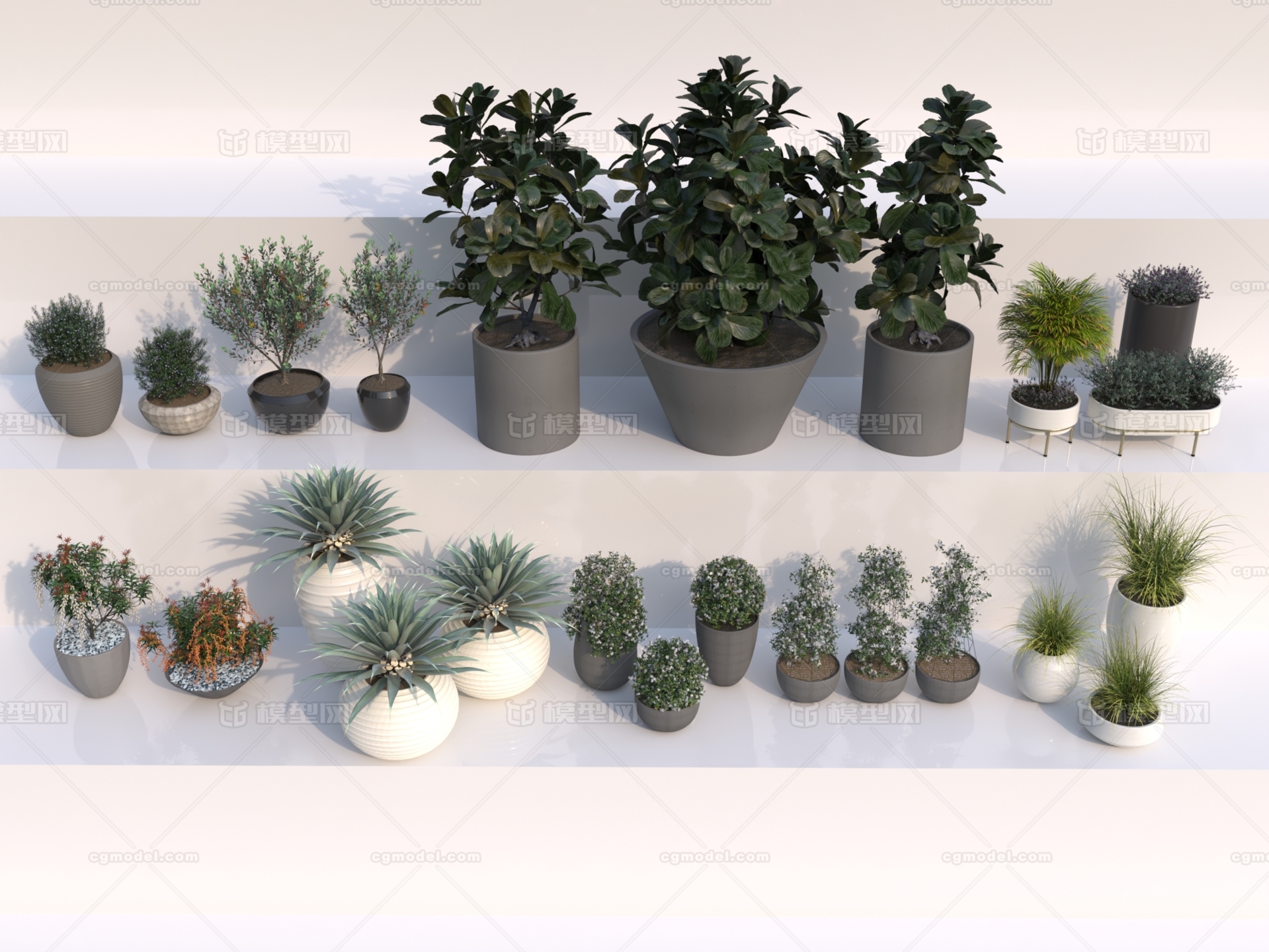 盆栽植物 室内植物模型-花卉模型库-3ds Max(.max)模型下载-cg模型网