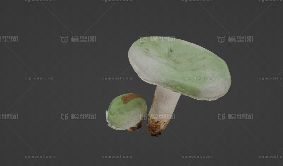 蘑菇 小蘑菇模型-花卉模型库-glTF(.gltf/.glb)模型下载-cg模型网