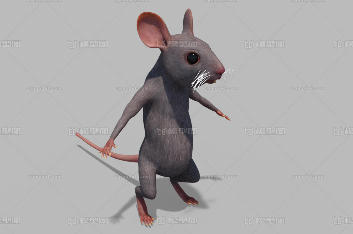 老鼠 mouse模型-哺乳模型库-3ds Max(.max)模型下载-cg模型网