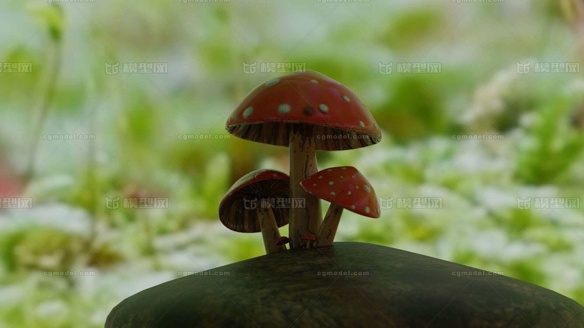 蘑菇 红蘑菇模型-水果蔬菜模型库-Blender(.blend)模型下载-cg模型网