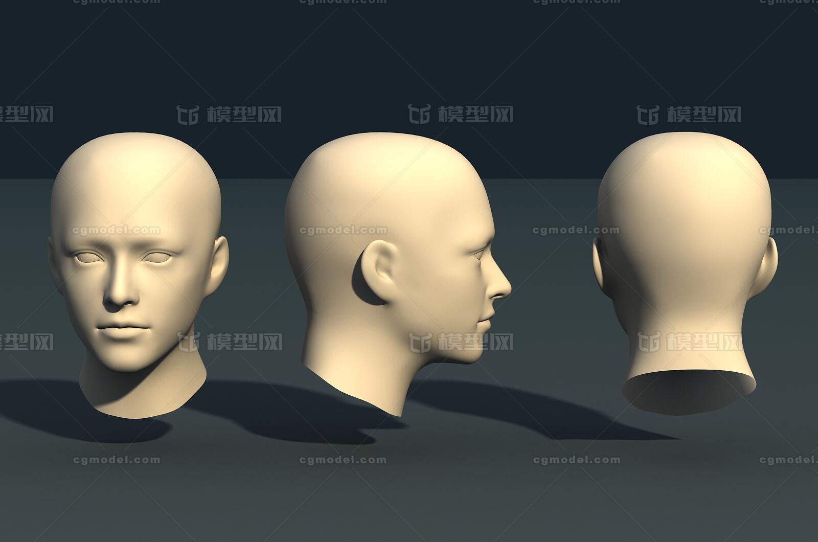 白模-男生头部 UV已展开模型-人体器官/组织模型库-FBX(.fbx)模型下载-cg模型网