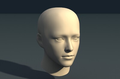 白模-男生头部 UV已展开模型-人体器官/组织模型库-FBX(.fbx)模型下载-cg模型网