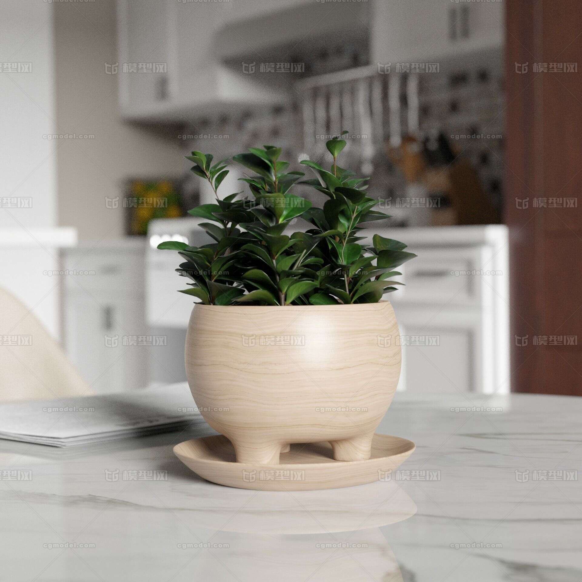 盆景 盆栽模型-草类模型库-其他模型下载-cg模型网