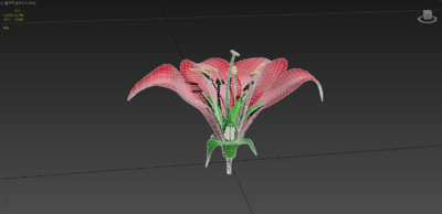 花的解剖 花朵模型-花卉模型库-3ds Max(.max)模型下载-cg模型网