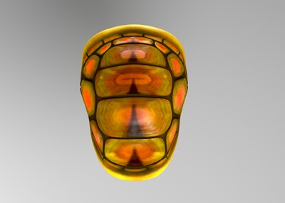 乌龟壳 卡通龟壳模型-其他模型库-Maya(.ma/.mb)模型下载-cg模型网
