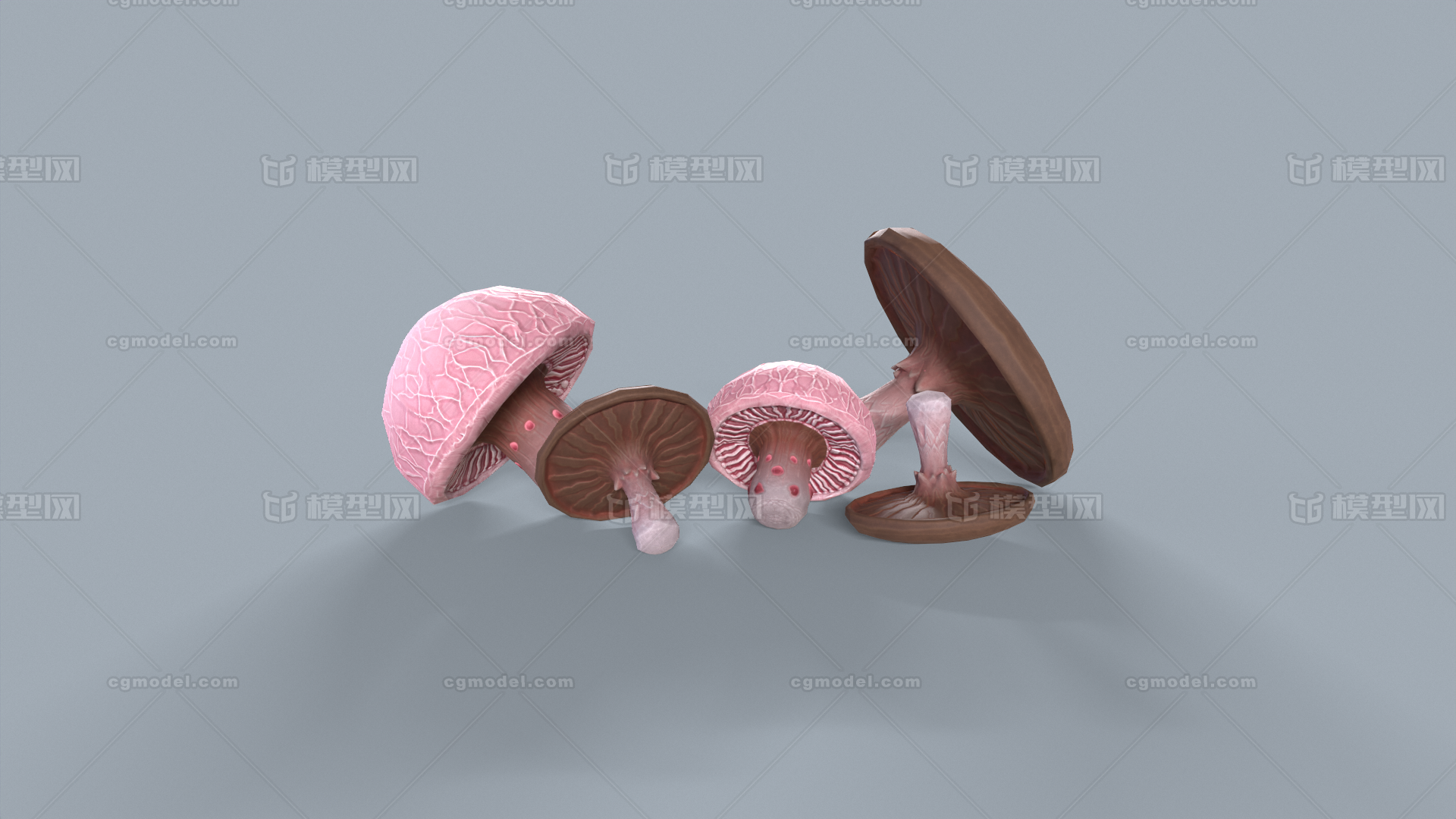 蘑菇 真菌模型-真菌模型库-3ds Max(.max)模型下载-cg模型网