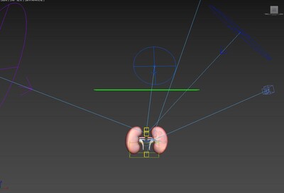 肾 肾脏模型-器官模型库-3ds Max(.max)模型下载-cg模型网
