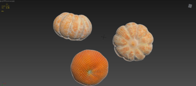 桔子 橘子模型-水果蔬菜模型库-3ds Max(.max)模型下载-cg模型网