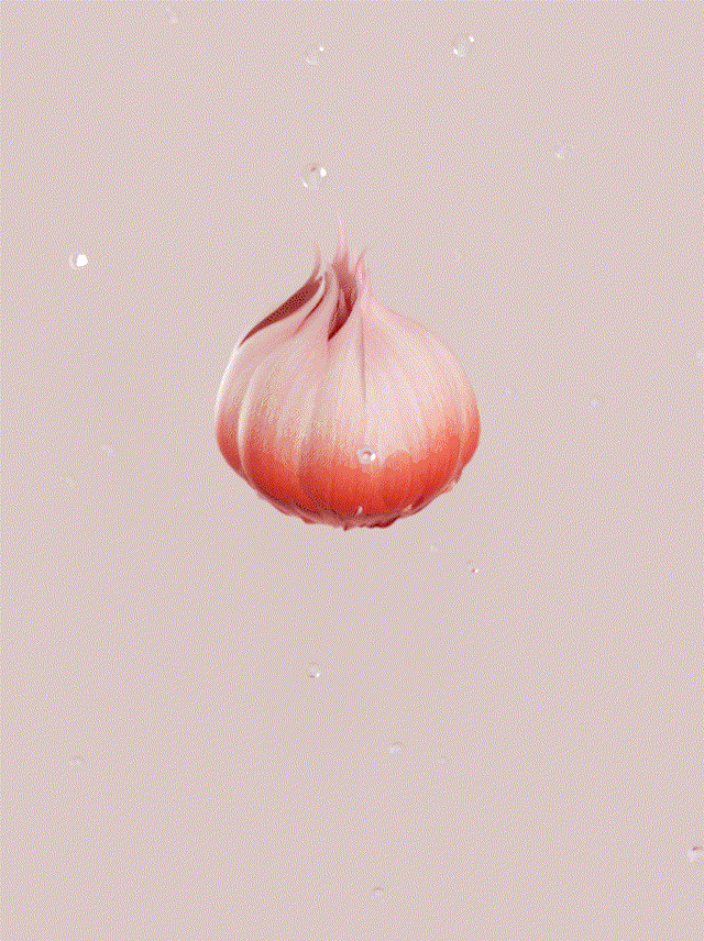 开花动画 动态花模型-花卉模型库-Cinema 4D(.c4d)模型下载-cg模型网
