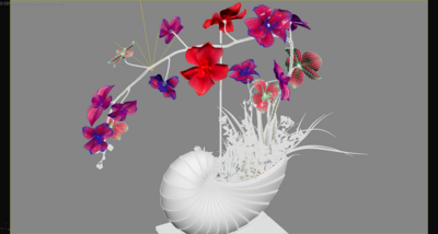 兰花开花 植物开花模型-自然场景模型库-3ds Max(.max)模型下载-cg模型网