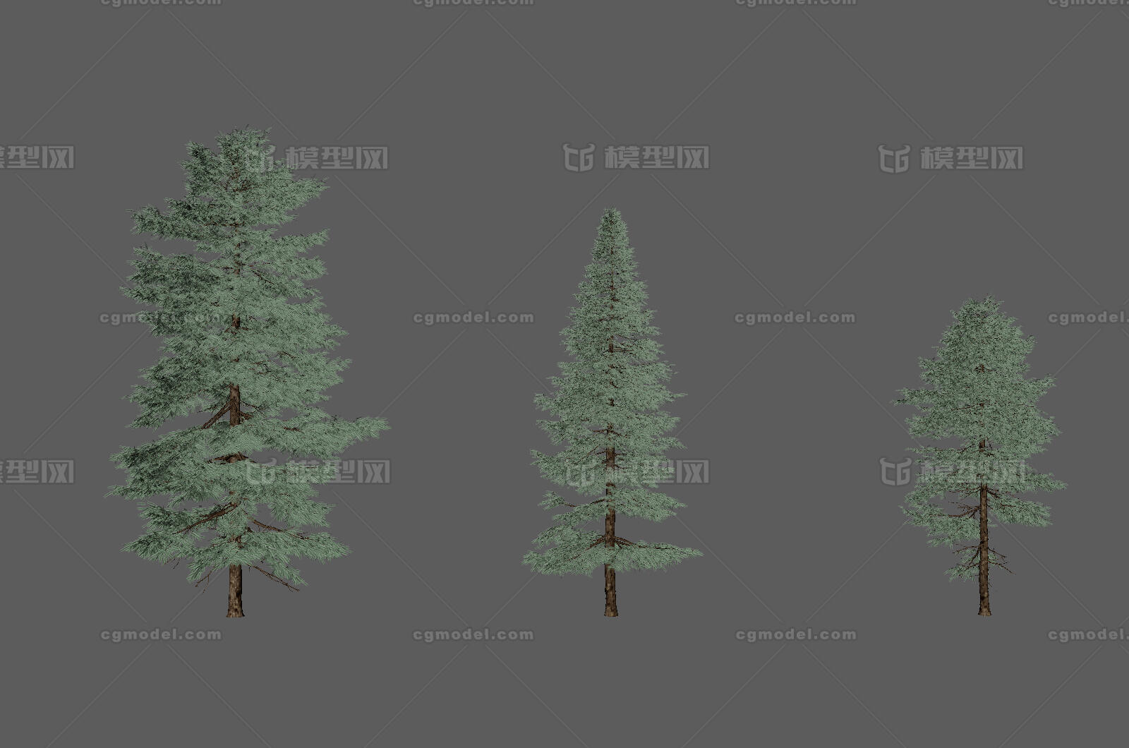三棵松树 松树模型-树木模型库-FBX(.fbx)模型下载-cg模型网